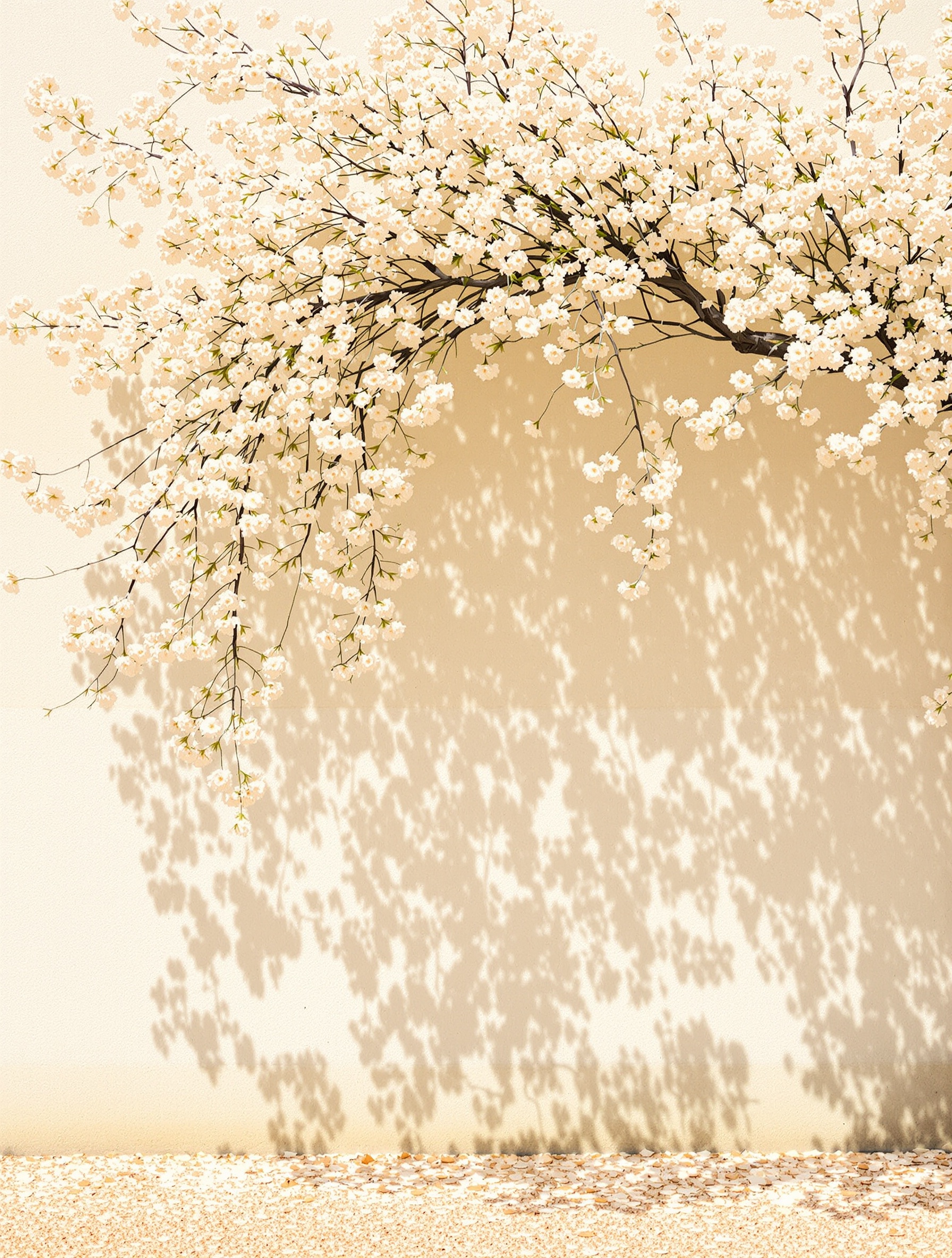 Osmanthus branch heavy with blossom bowing over a pale stone garden wall in warm afternoon light, evoking Fleur Narcotique Extrait.