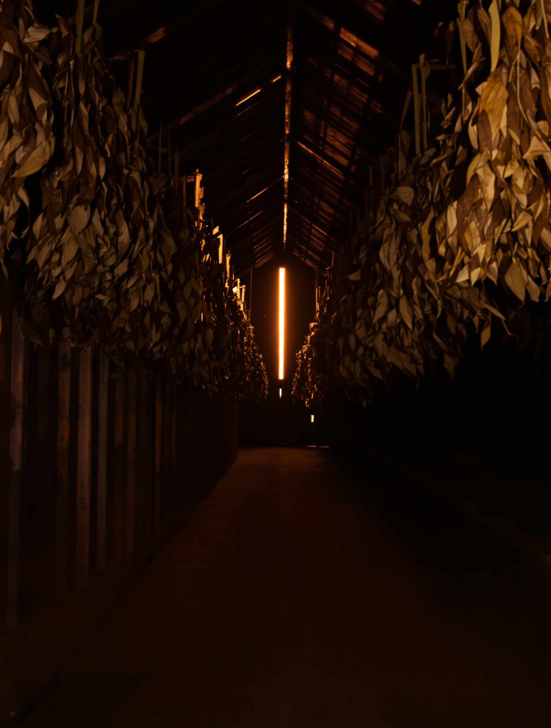 A dimly lit Cuban tobacco curing barn with rows of hanging dried leaves caught in a single shaft of amber evening light, evoking the dry, austere soul of Vanille Havane.