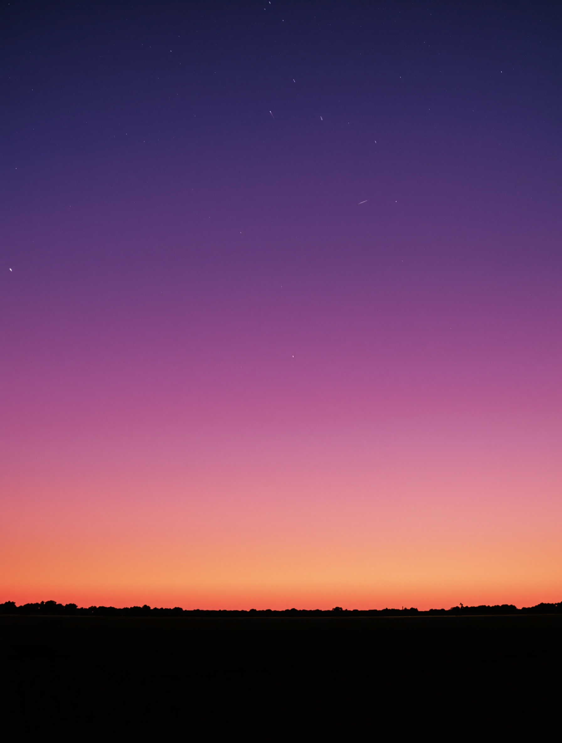 A long-exposure night photograph of a vast summer meadow under a violet twilight sky scattered with faint meteor streaks, tiny distant silhouettes of stargazers lying in the far grass below.