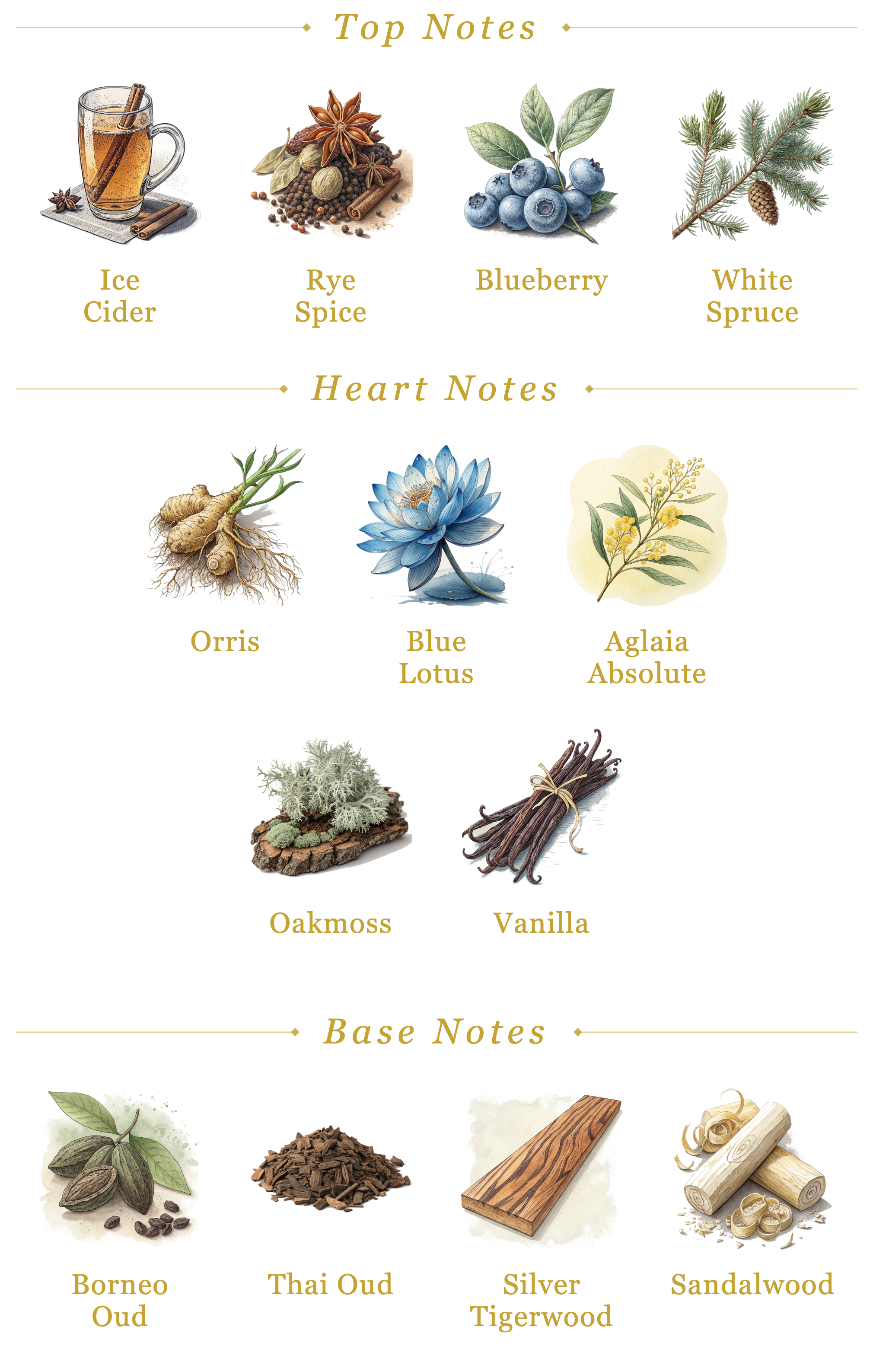 Folkwinds Midwinter Storm fragrance notes pyramid