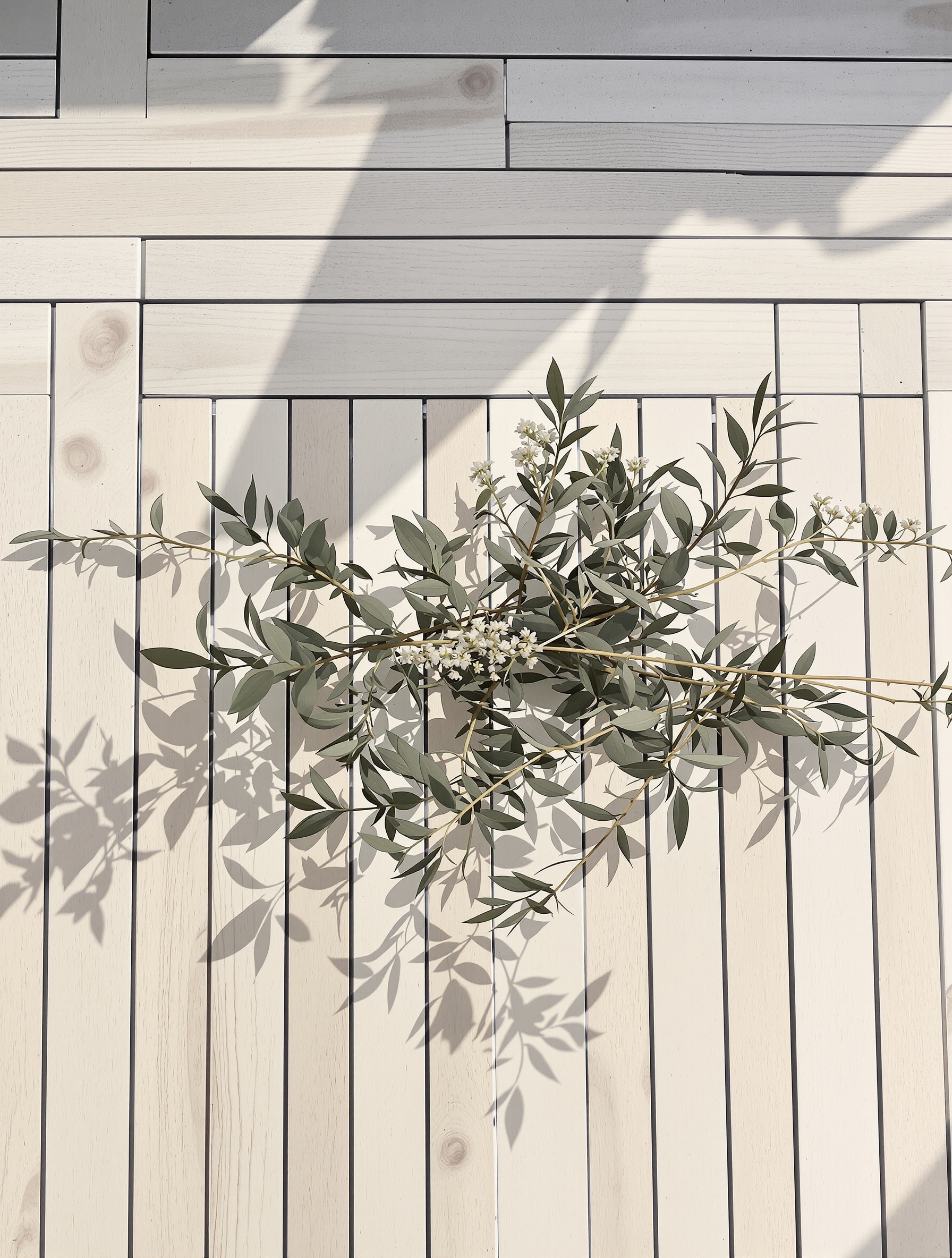 Eukaliptus i santolina ułożone na wybielonej solą pokładzie z drewna teak w ostrym świetle południa przywołują aromatyczne, ziołowe otwarcie Tiziana Terenzi Dorade.