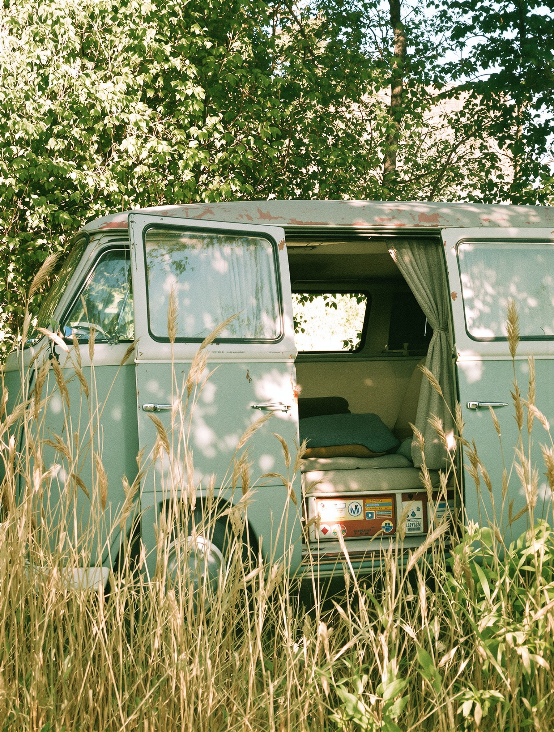 Weathered camper van lost in wild meadow grasses in grainy afternoon light.