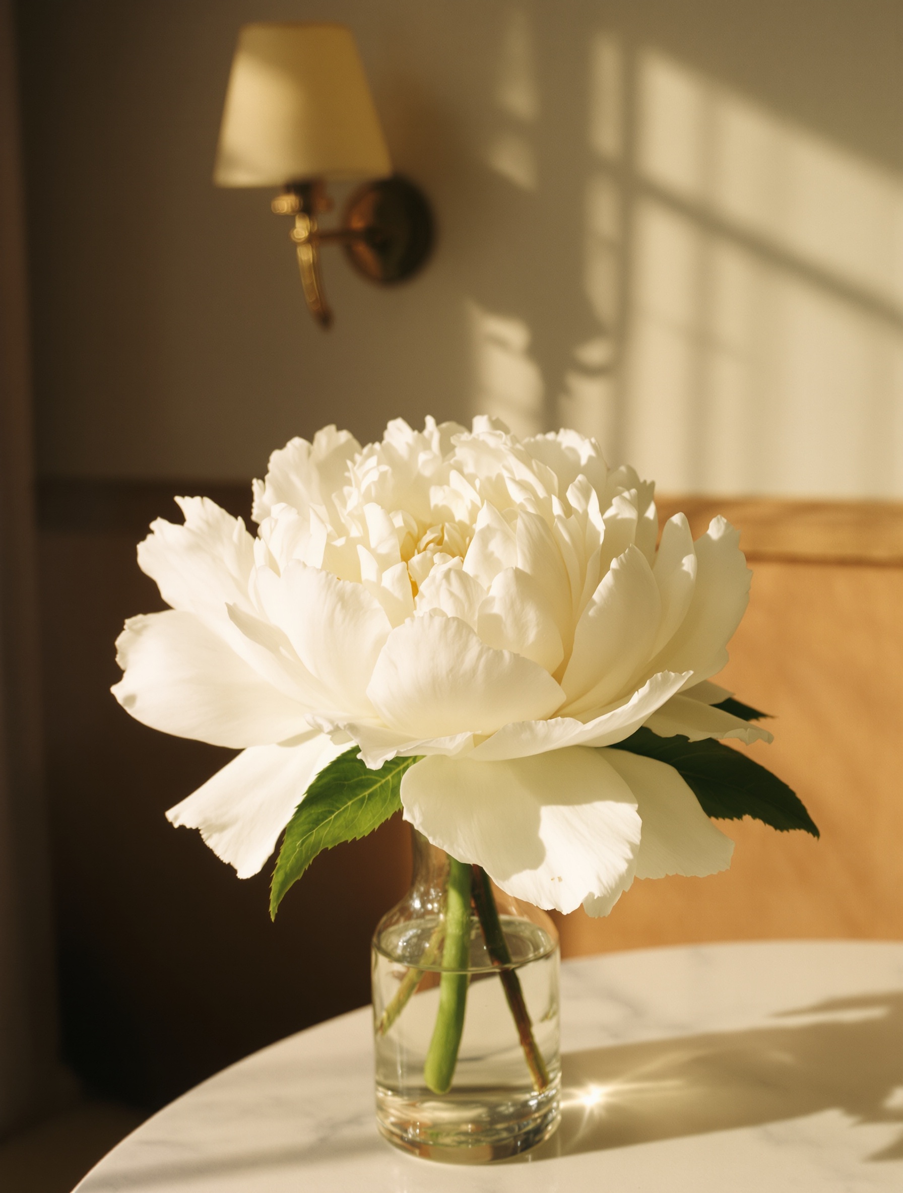 Przepełniona bielą peonia w miękkim, bursztynowym świetle okna, sfotografowana na ziarnistej kliszy 35mm.