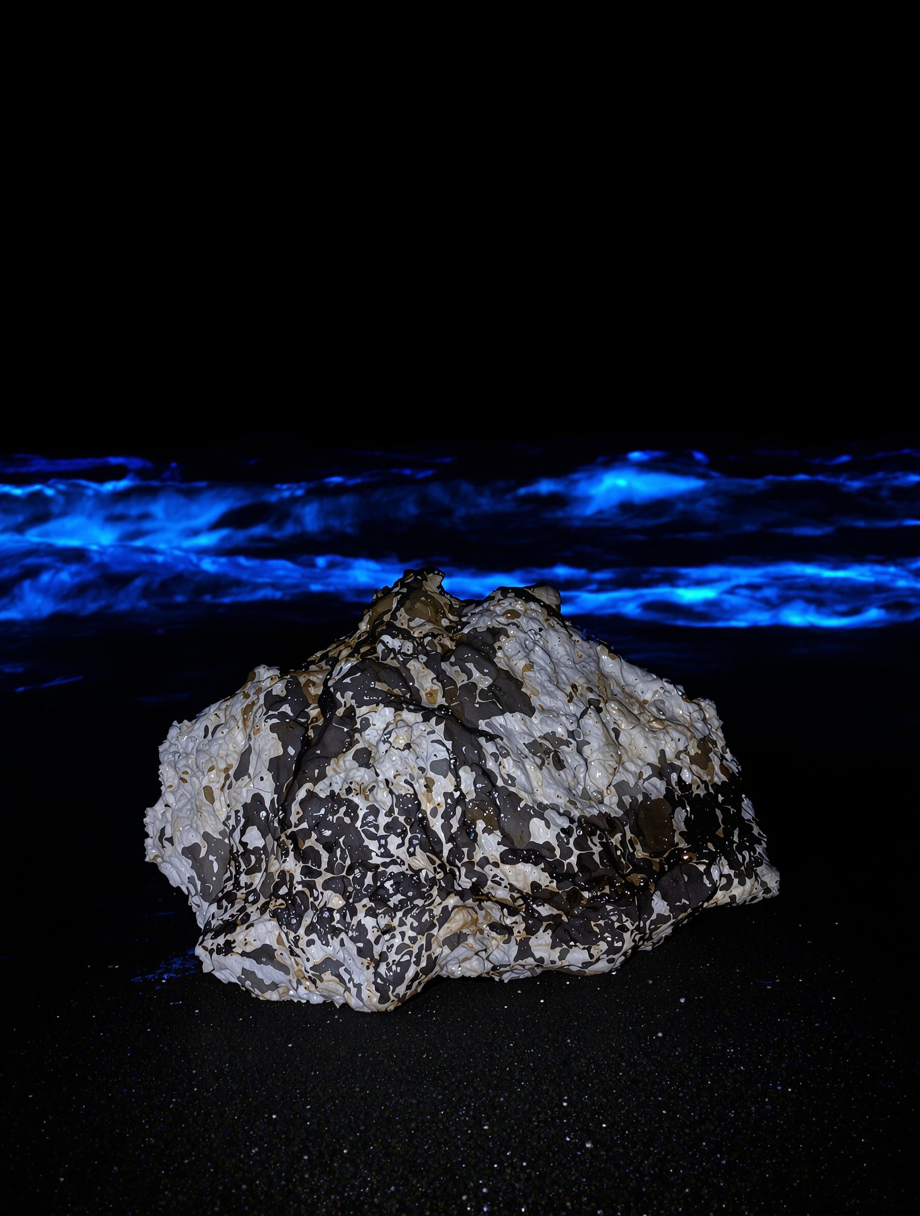Grey ambergris di atas pasir gelap yang basah kuyup di malam hari, ombak bioluminesens berpendar biru elektrik dan ungu dalam jejak cahaya eksposur panjang di belakangnya.