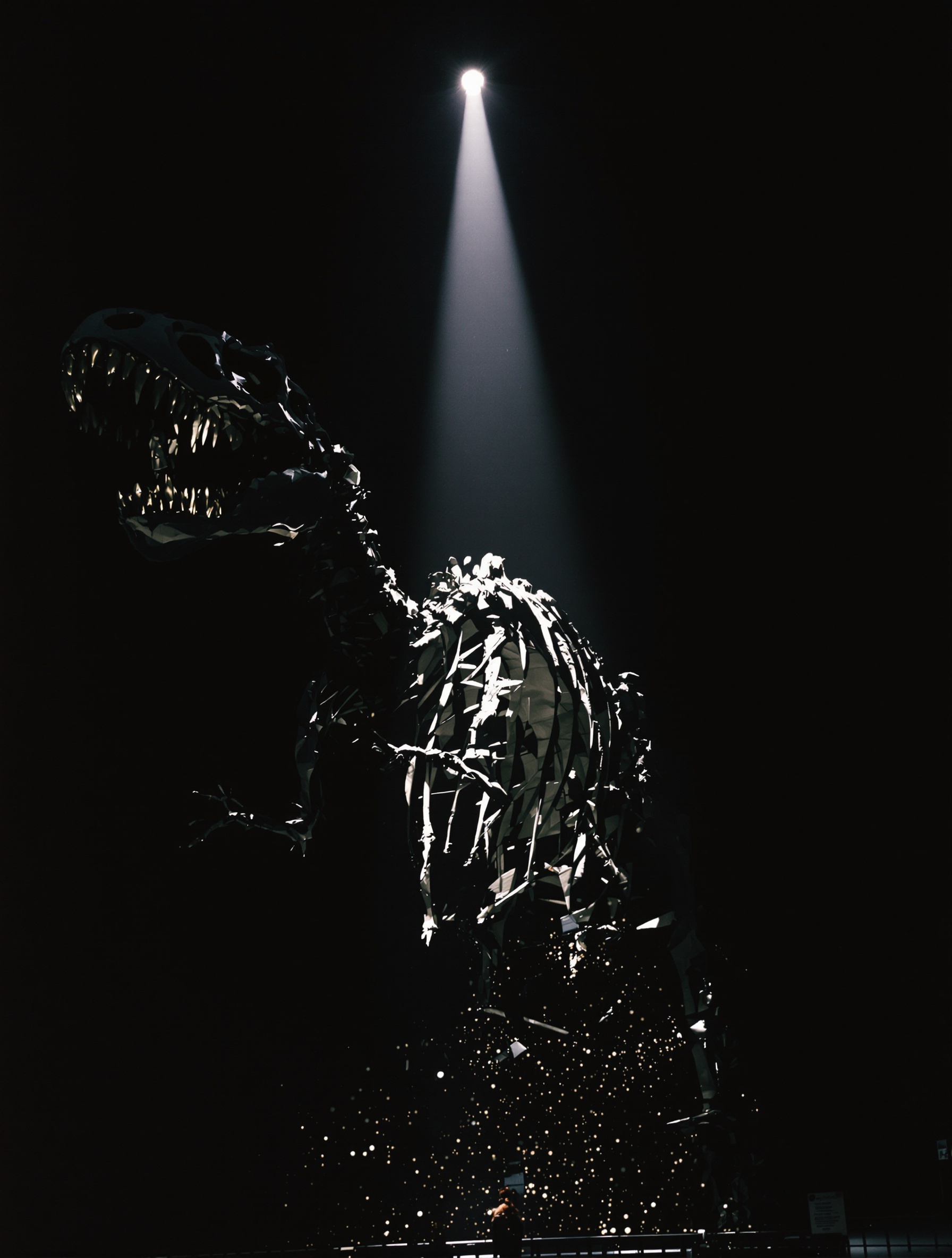 Sebuah foto museum dramatis berformat 35mm menampilkan kerangka T-Rex dalam kegelapan hampir pekat, satu berkas cahaya menerangi tulang rusuk dan rahangnya yang terbuka sementara debu melayang di dalam sinar itu.