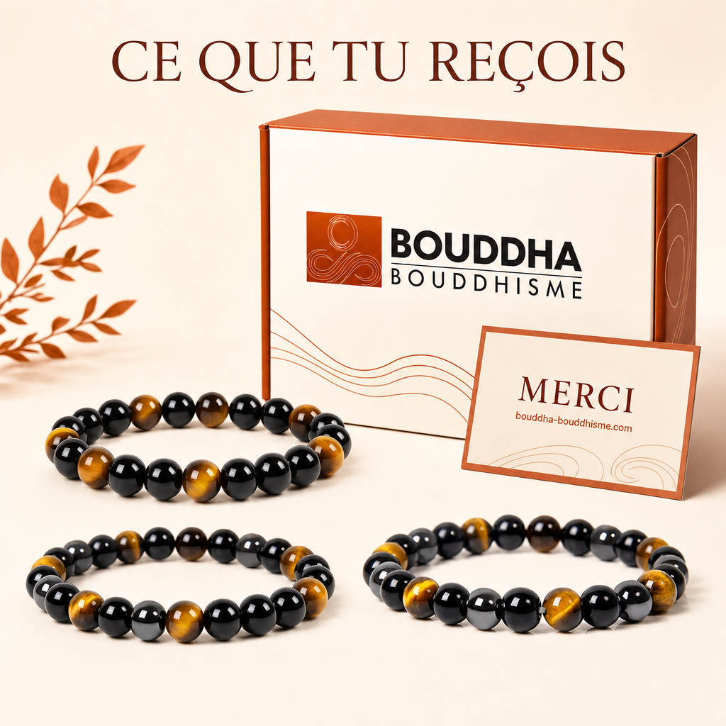 Ce que vous recevez exactement