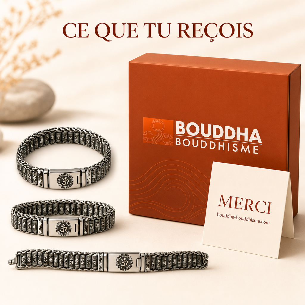 Ce que vous recevez exactement