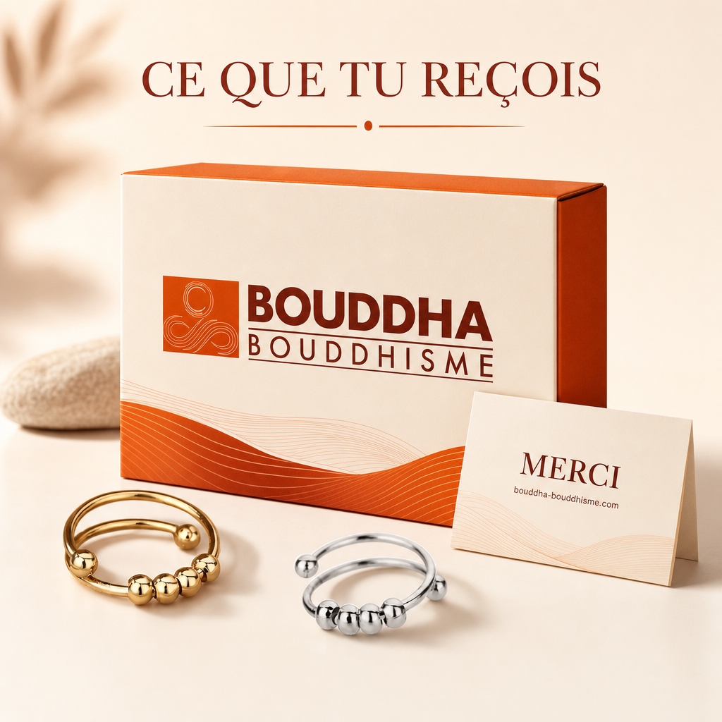 Ce que vous recevez avec votre bague fidget