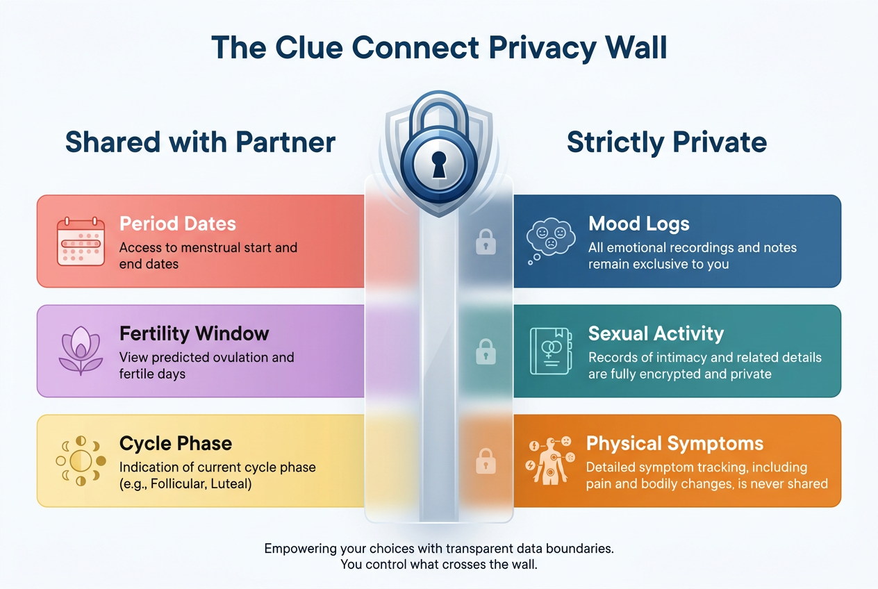 A diagram of the Clue Connect privacy wall showing shared cycle data like period dates versus private data such as mood logs and sexual activity.