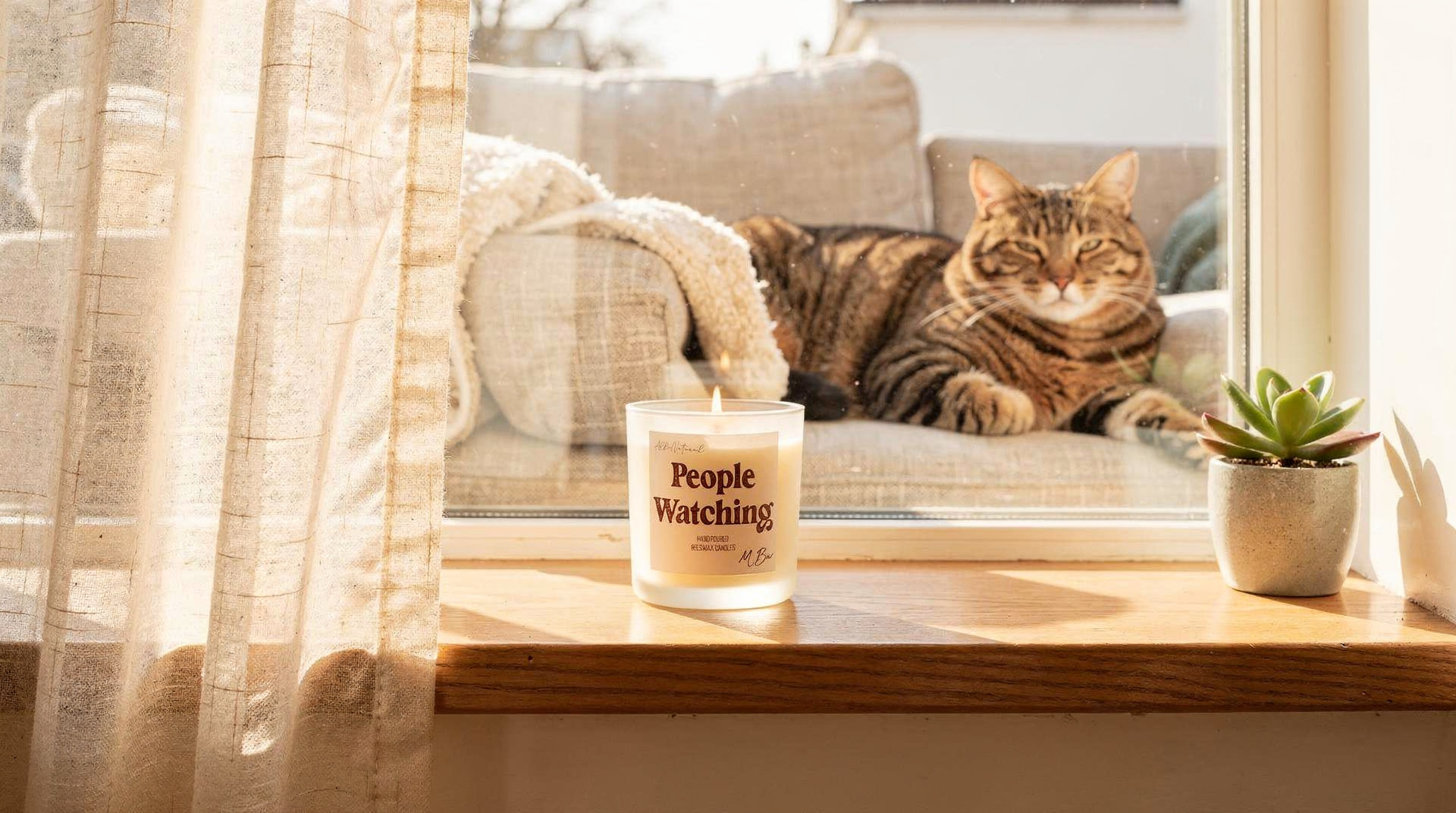 Are Paraffin Candles Safe Around Indoor Cats? What Owners Often Overlook