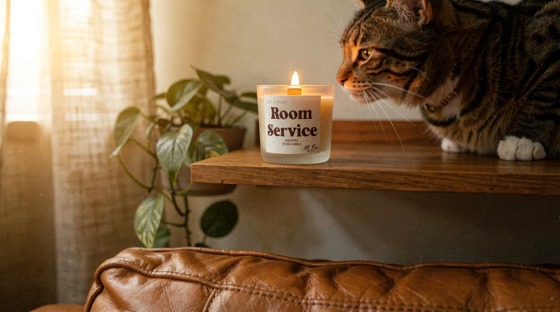 Safe Candles for Cats: How to Pick a Candle That Won't Harm Your Feline