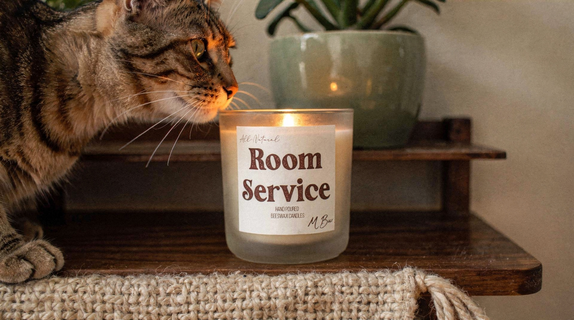 Pet Safe Candles for Cats: What to Burn When You Live With Curious Felines