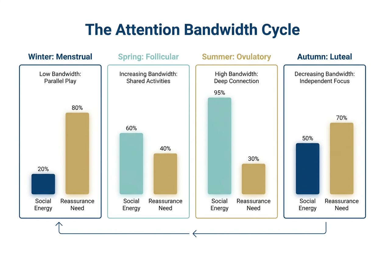 A chart showing the four phases of the menstrual cycle mapped to social energy and emotional reassurance needs for relationship management.