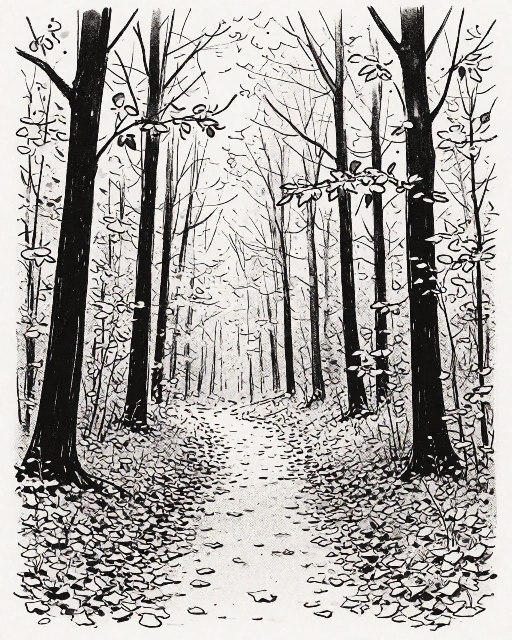 a quiet forest path in autumn