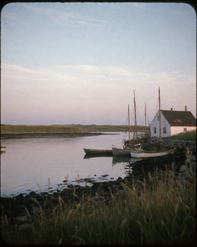 faded kodachrome pastoral style
