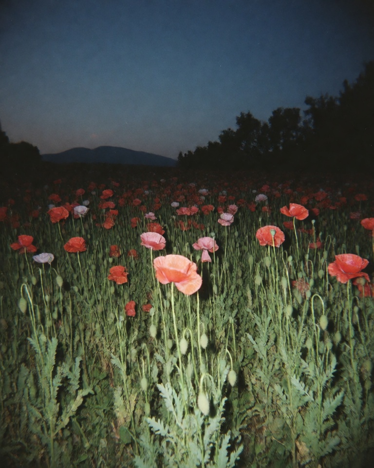lomography night grain style