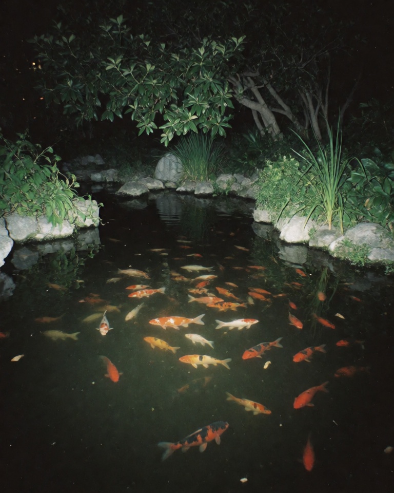 lomography night grain style
