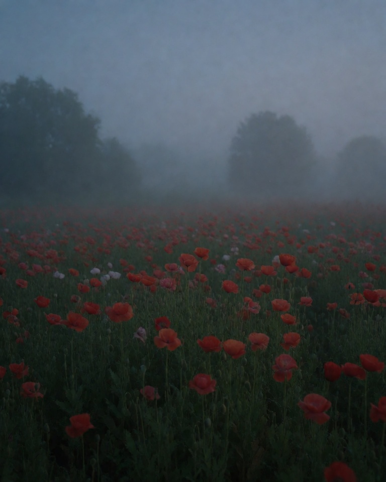 moody dusk fog style