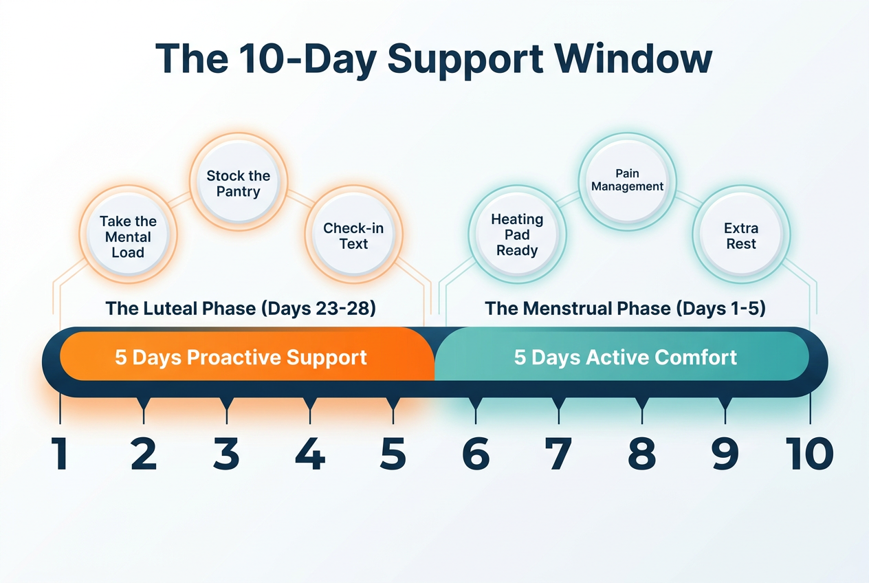 A 10-day timeline visual detailing the proactive support window for partners, spanning the luteal and menstrual phases of the cycle.