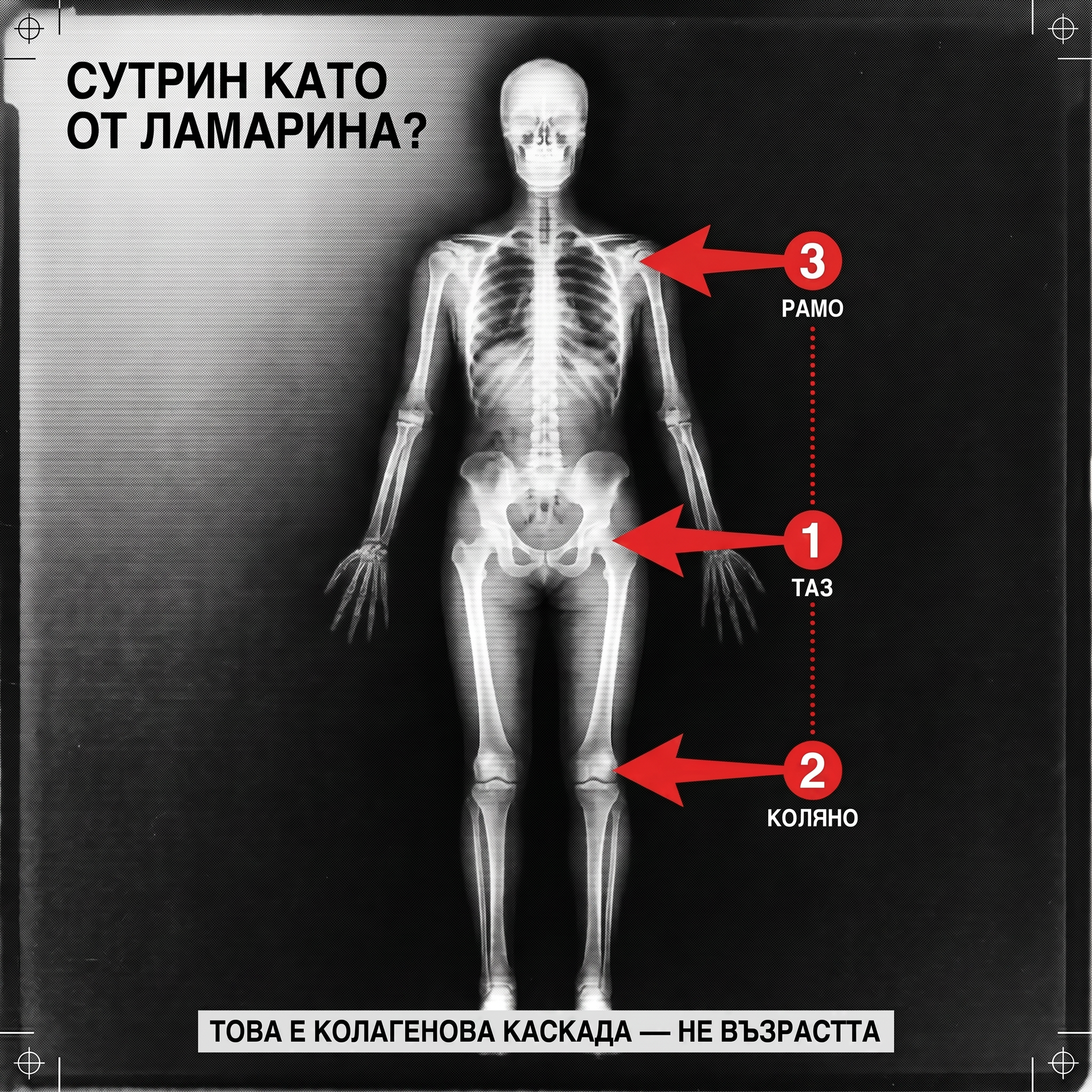 Скелетна каскада - таз, коляно и рамо, отбелязани с три червени стрелки