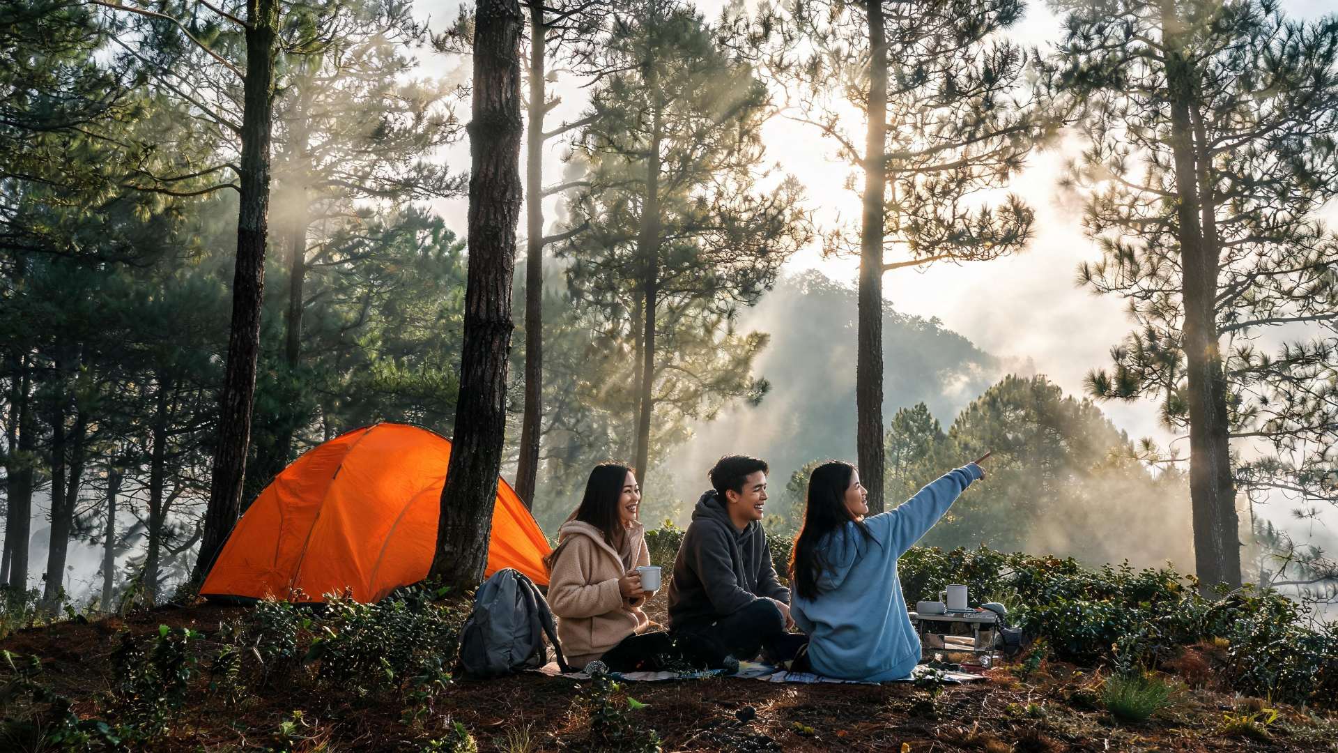 Cắm trại rừng thông Đà Lạt - lều giữa rừng thông sương mù - ProCamping.vn