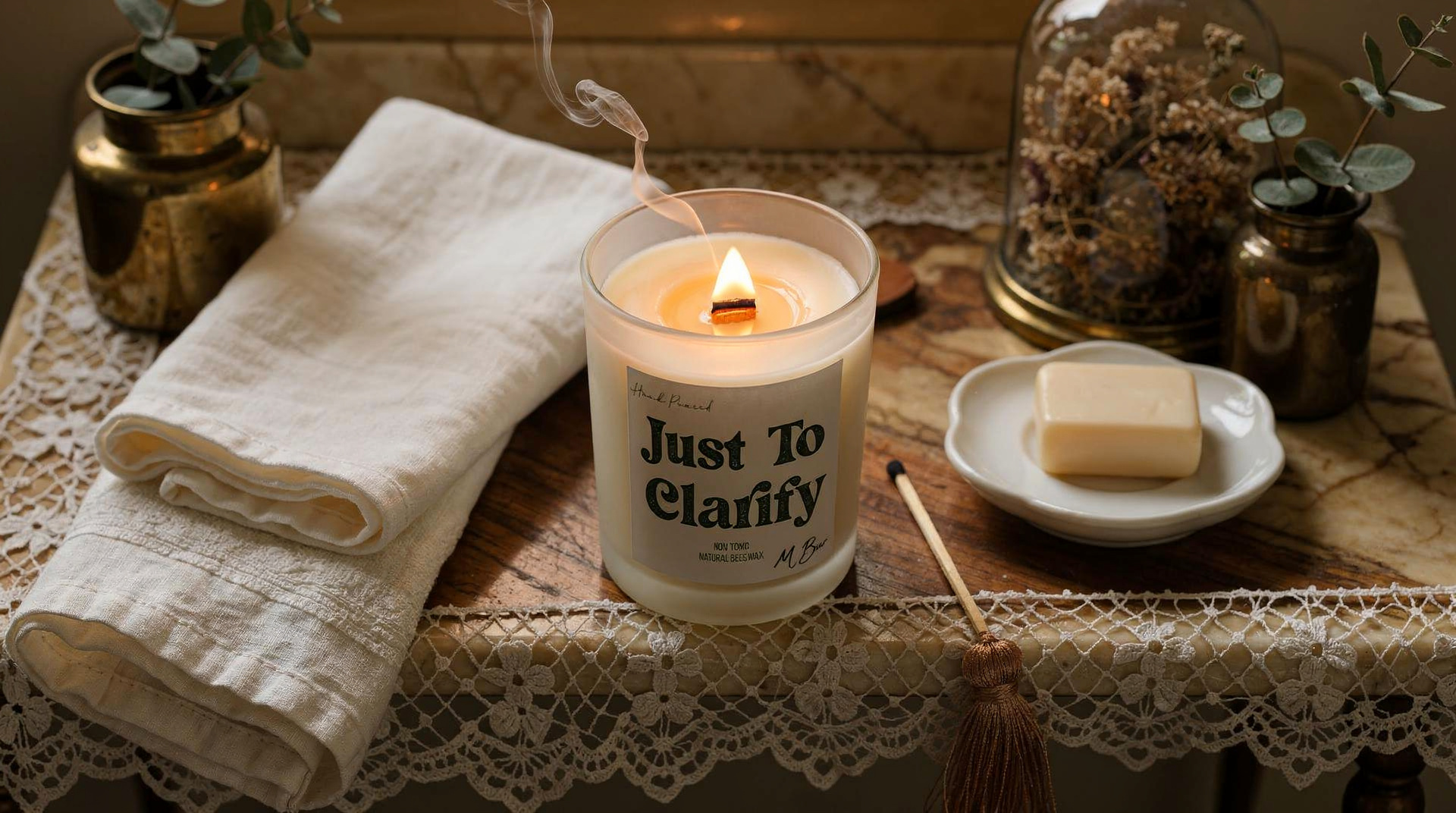 Why Your Plunger Smells (and How to Fix It)