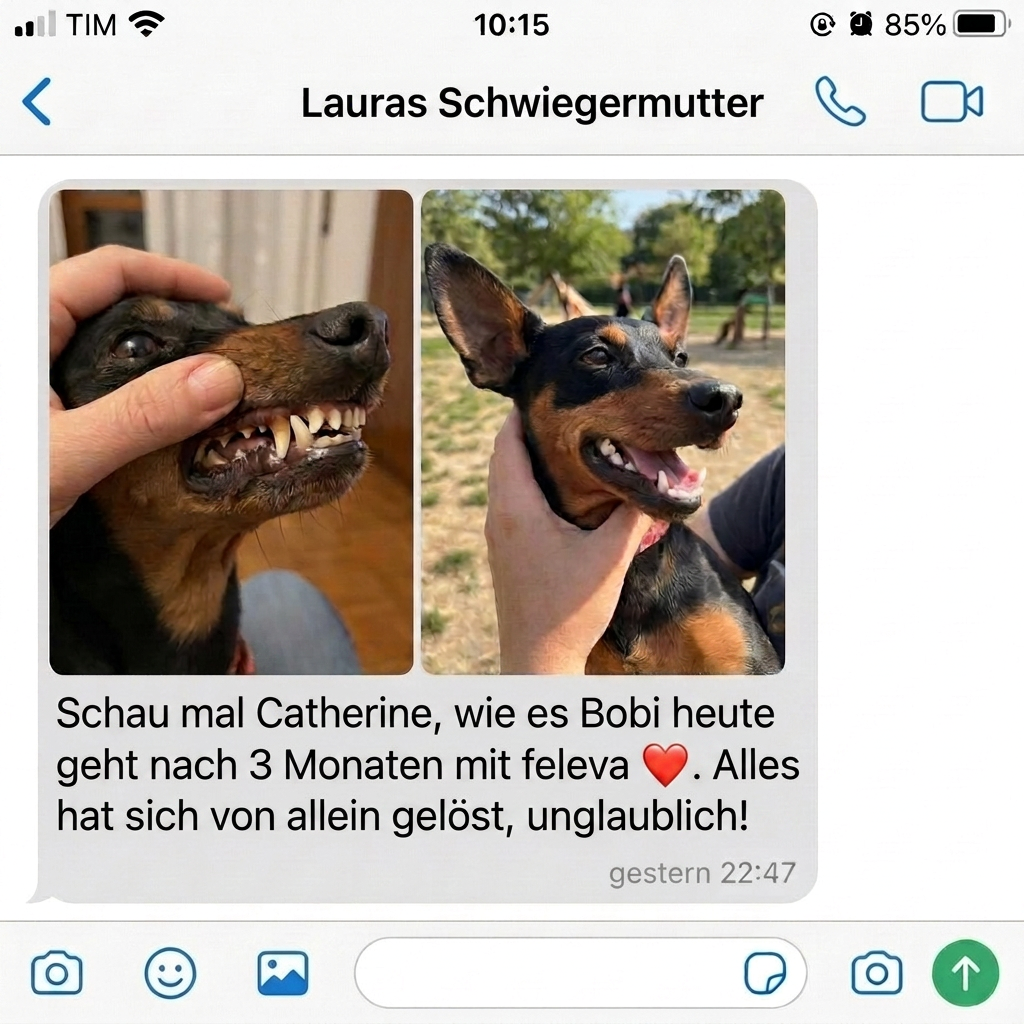 Nachricht einer Freundin