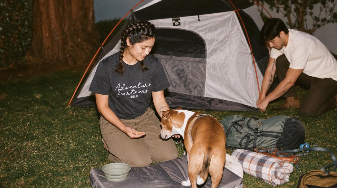 Happy dog in wilderness camping setting