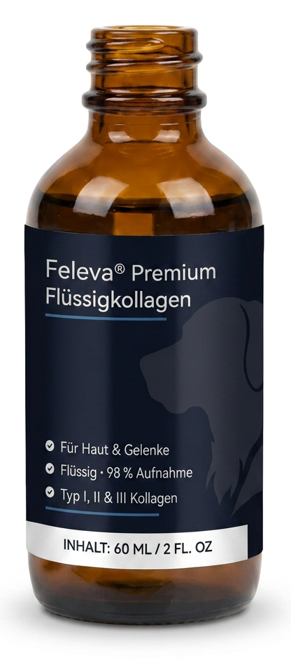 Feleva Flüssigkollagen