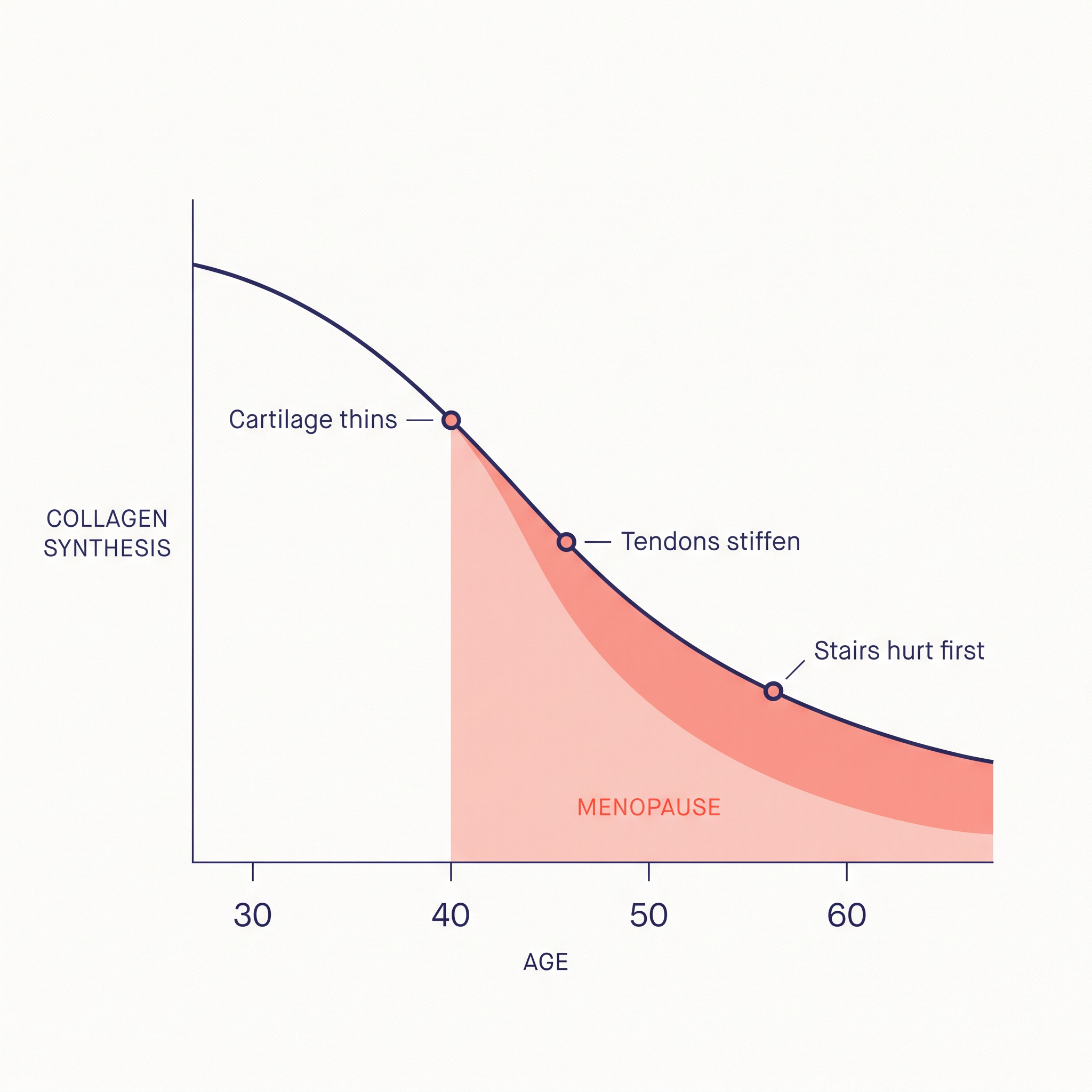 The collagen decline curve after 40 and what it costs the knee