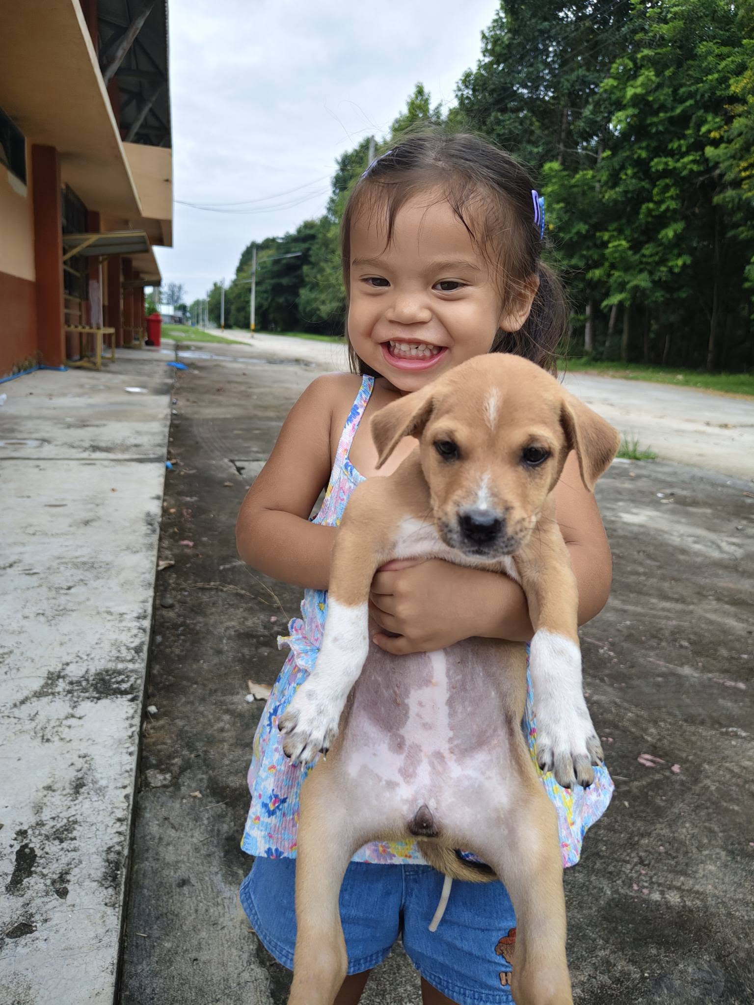 small child holding a brown and white puppy — free 3D model