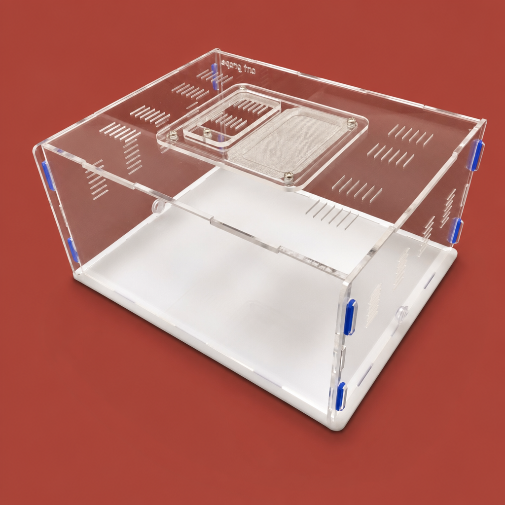 Acrylic that earns its place