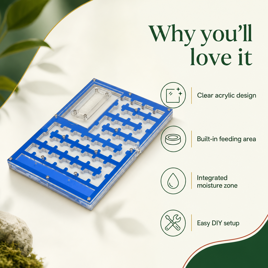 Finally, a Maze Ant Farm That Grows With Your Colony