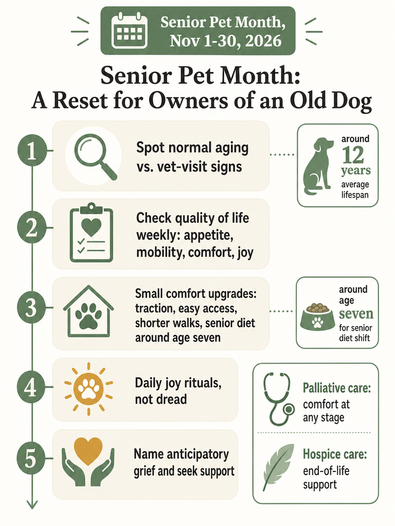 Diagram: Senior Pet Month: Loving an Old Dog When You Know Time Is Short
