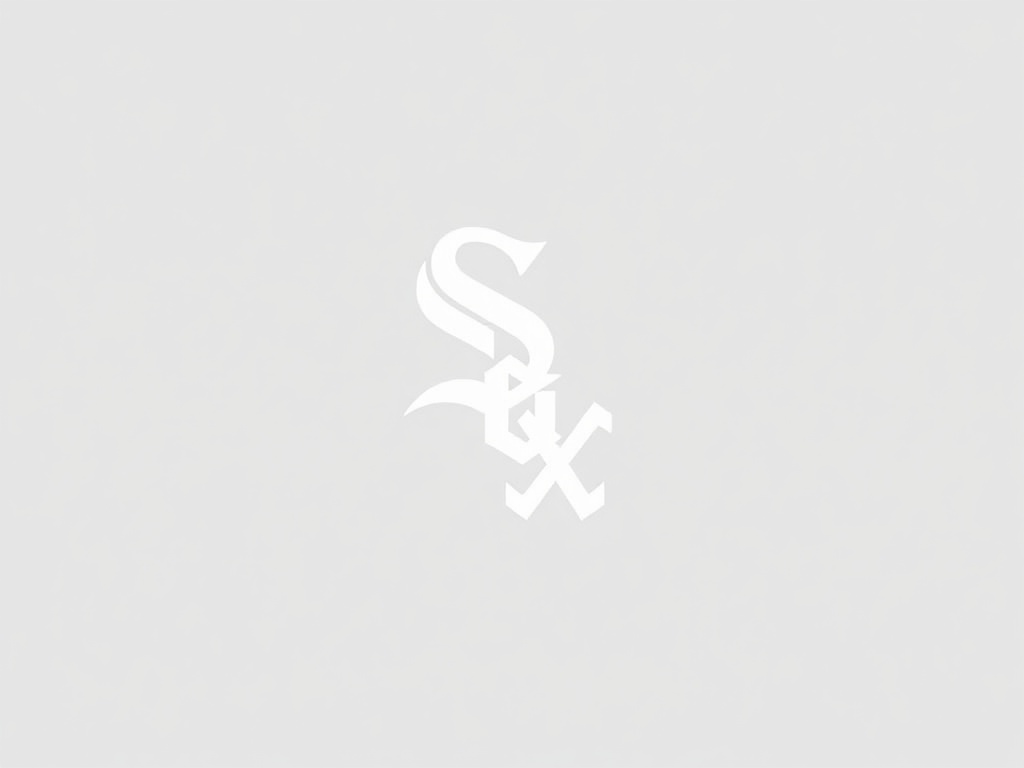 Chicago White Sox image