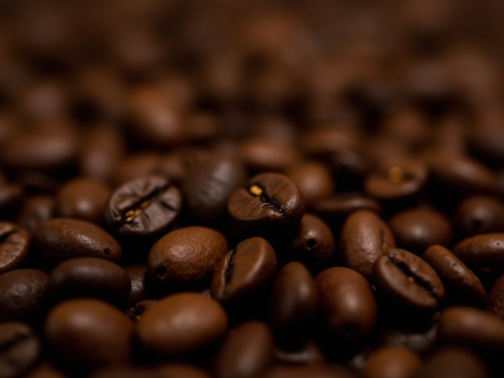 Freshly roasted medium roast coffee beans, essential for a flavorful filter coffee.