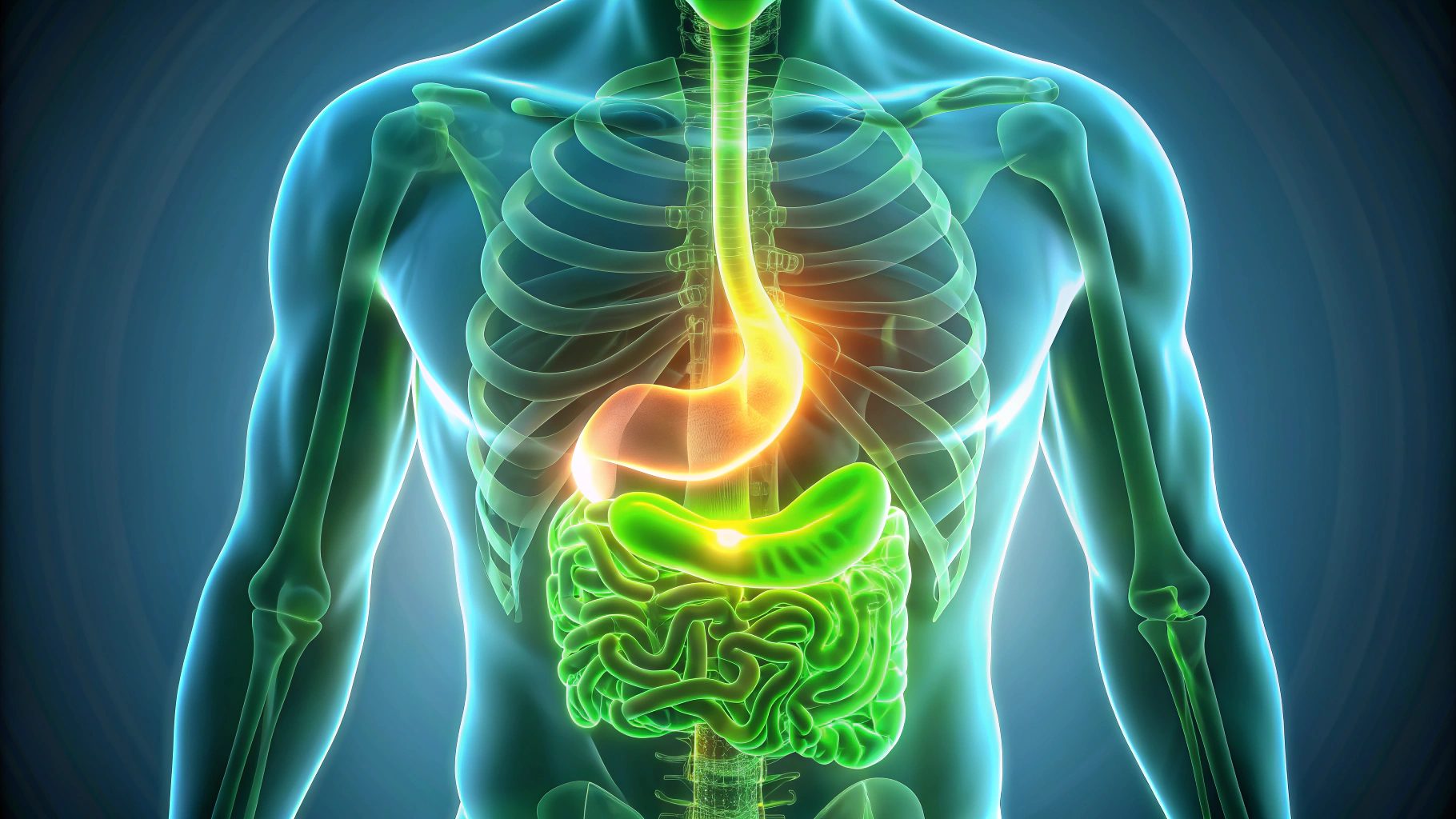 위염·속쓰림에 카베진 효과 있을까? 올바른 복용법과 주의사항 총정리 2 카베진의 핵심 성분과 5가지 주요 효능: 위 점막 재생부터 소화 촉진까지