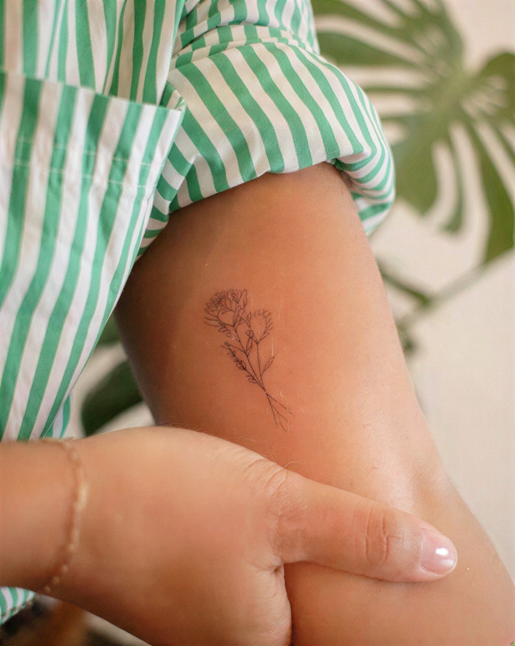 Family tree silhouette compact design