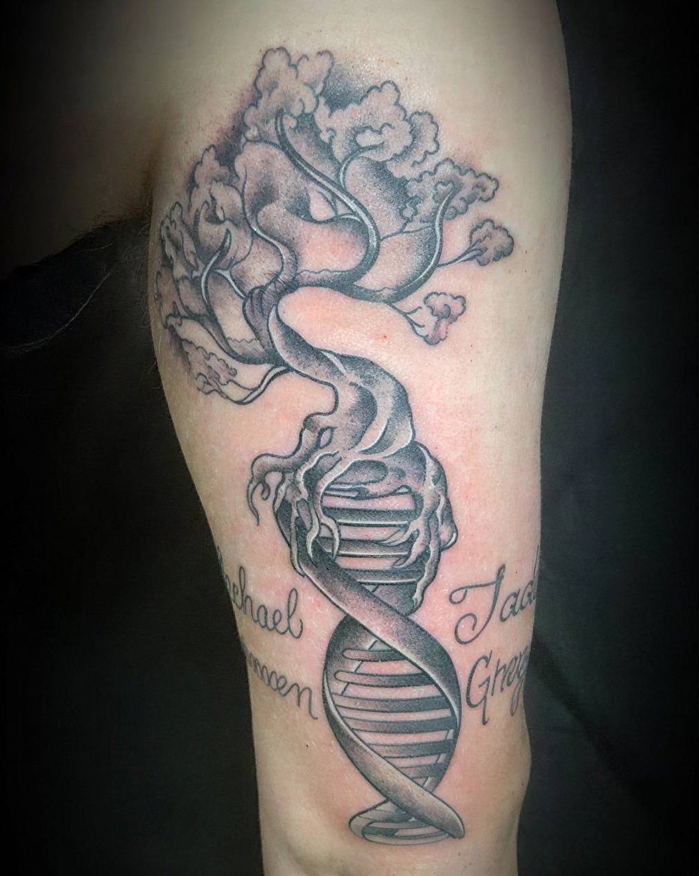 DNA helix simplified family roots